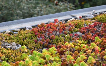 the cost of Trefeitha green roof installation
