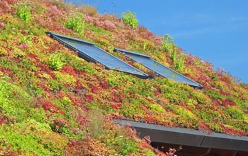 Trefeitha living roof systems