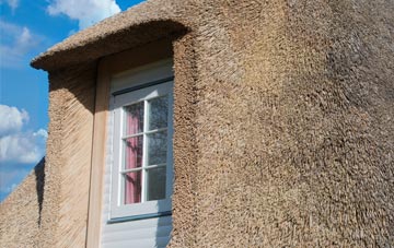 Trefeitha thatch roof disadvantages